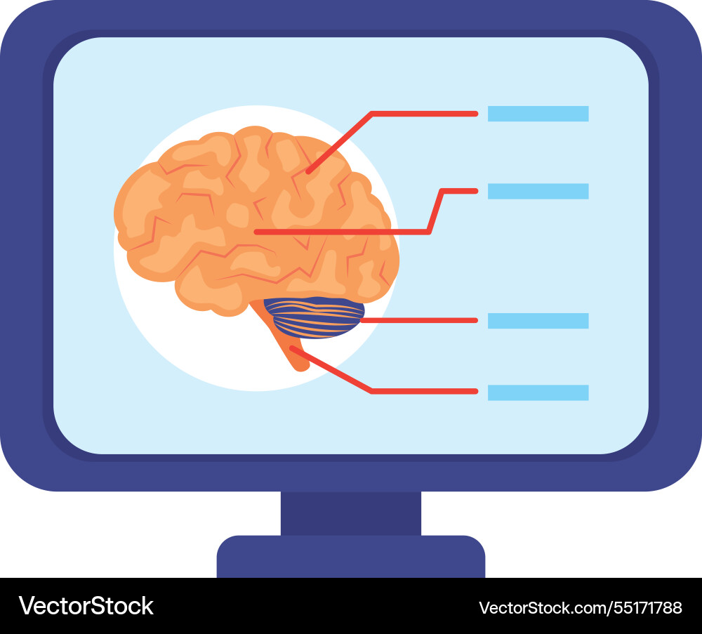 Computer screen displaying brain activity vector image