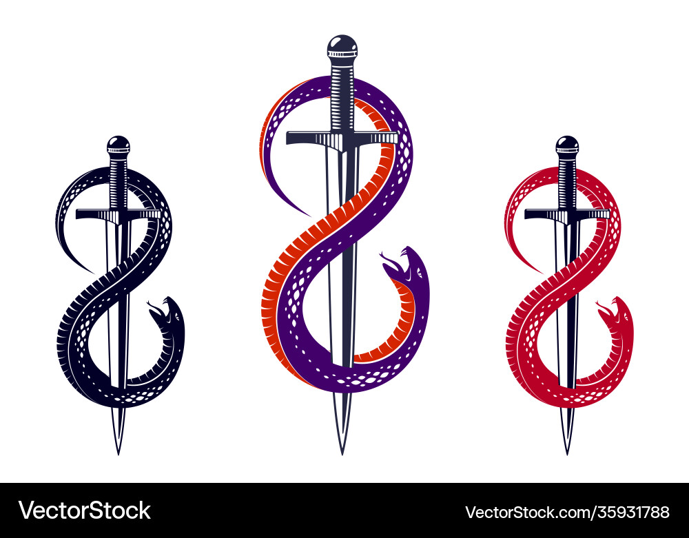 Dagger kills a snake defeated serpent wraps Dagger kills a snake defeated serpent wraps vector image