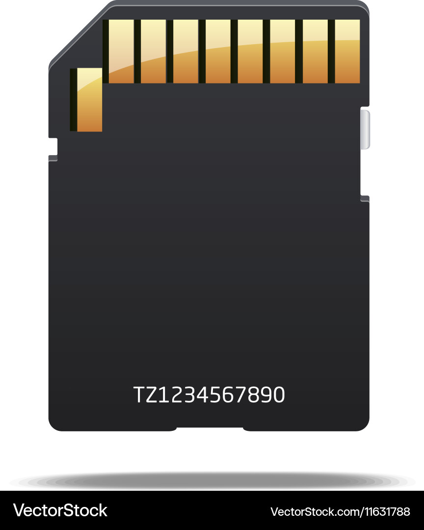 Memory sd card for various devices Vector Image