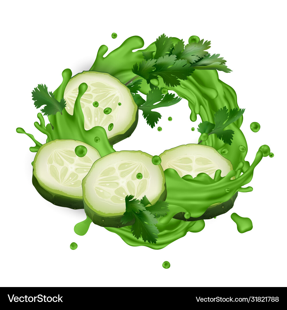 Refreshing Cucumber & Celery Juice Splash vector image