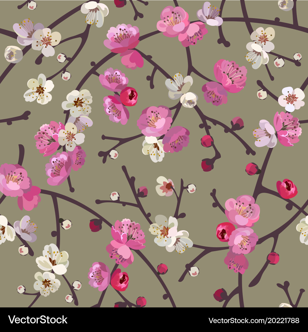 Seamless pattern with blooming sakura branches vector image