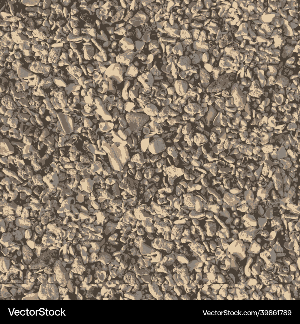 Sea Pebble Seamless Pattern vector image