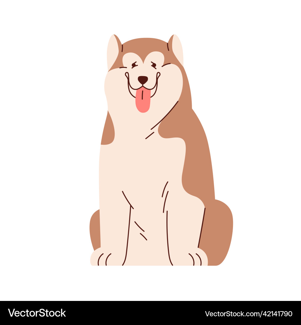 Süße chinesisch alaskan malamute portrait lustig Süße chinesisch alaskan malamute portrait lustig vektorbild