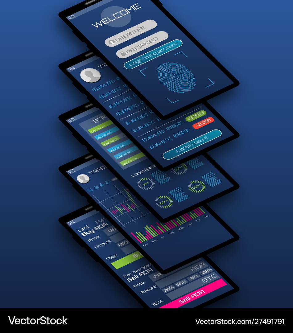Data Analytics Mobile App Interface vector image