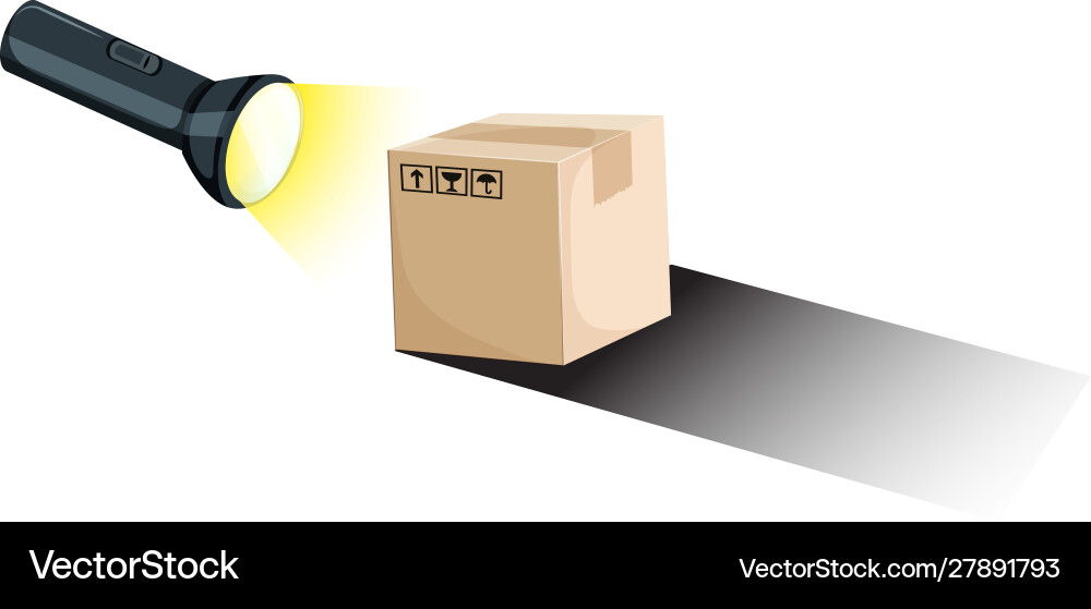 Making shadow with torch and box Vector Image