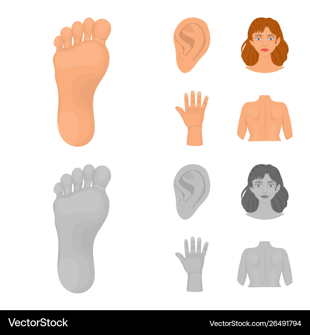 Design body and part icon collection Vector Image