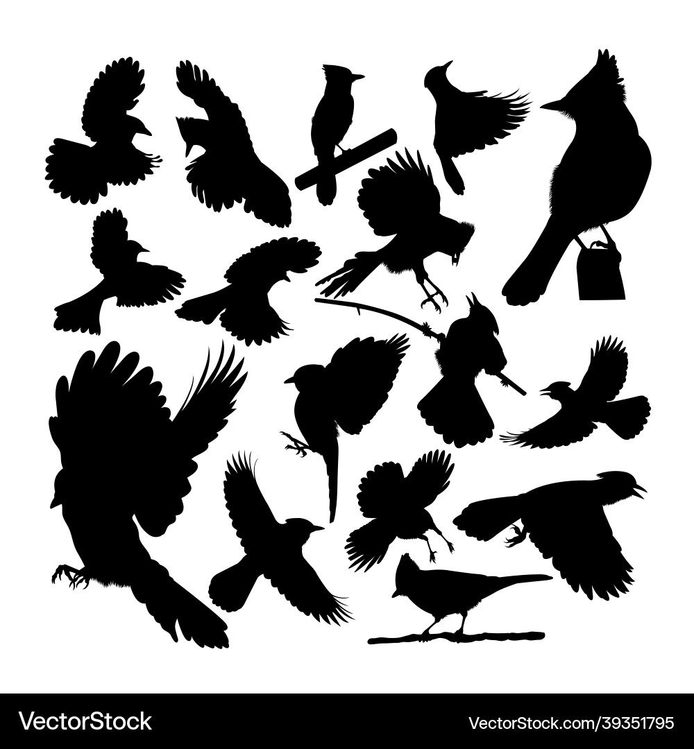 Blue Jay Silhouettes vektorbild