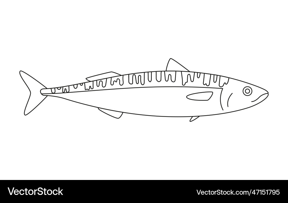 Mackerel Linie Kunst scomber Meeresfrüchte und Unterwasser Mackerel Linie Kunst scomber Meeresfrüchte und Unterwasser vektorbild