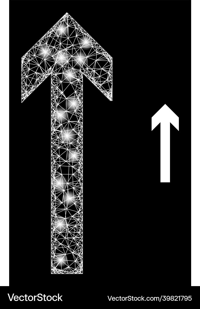 Polygonal network mesh move up with light spots Vector Image