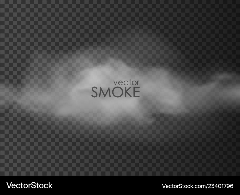 Smoke and Fog Isolated on Transparent Background Vector Image