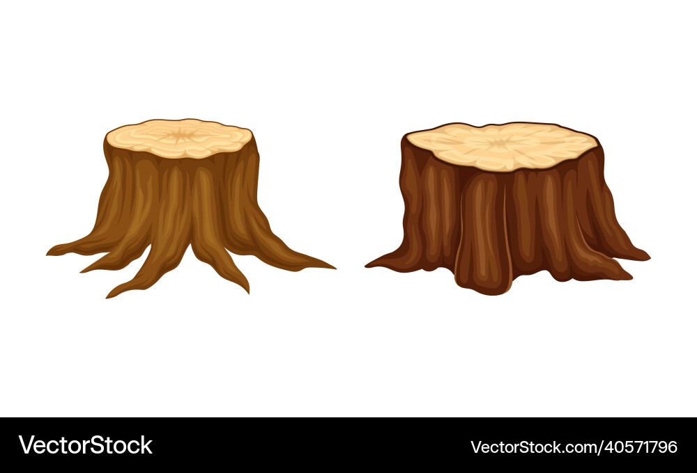Tree stumps set nature objects cartoon vector image