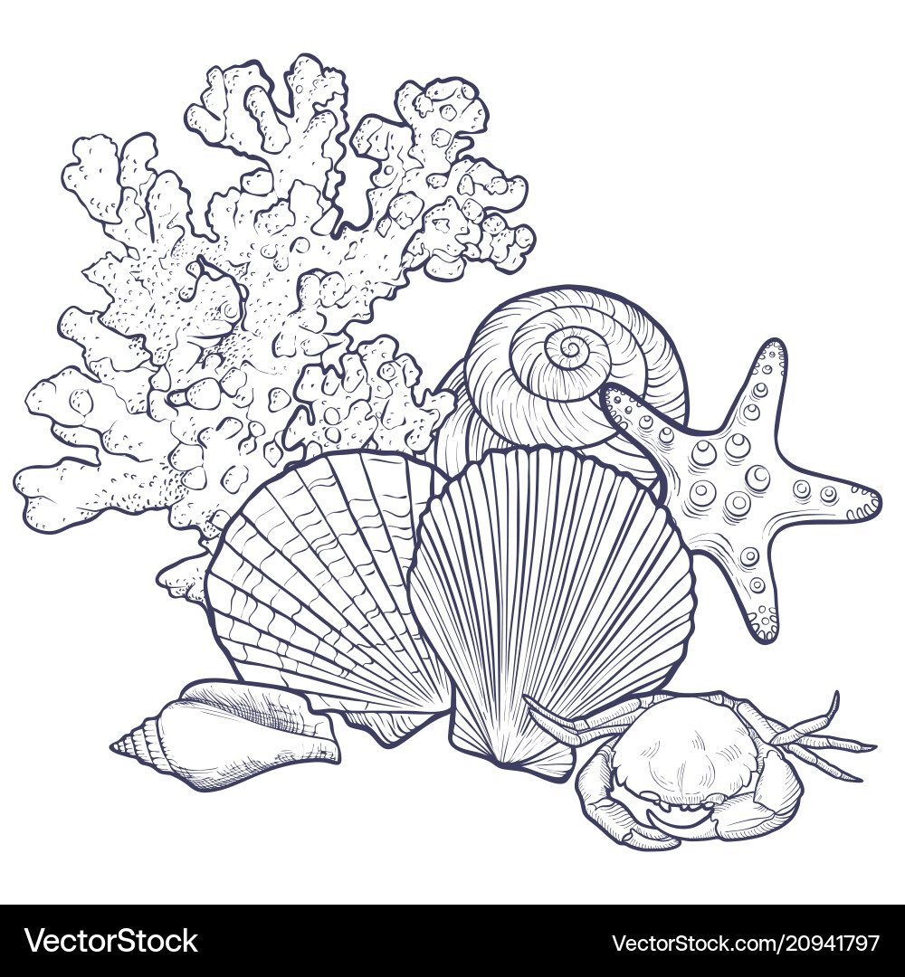 Background with seashells Background with seashells vector image