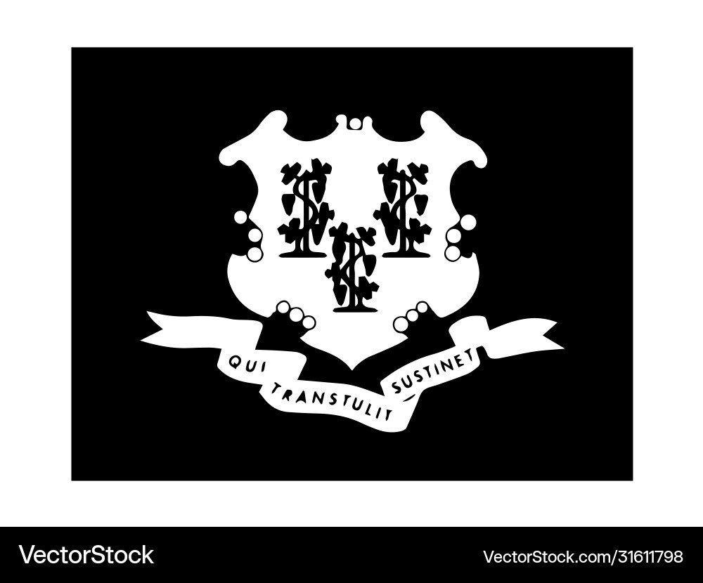 CT Flag EXTINCT THE SERIGRAPHY “X-RAY” EXTINCT THE SERIGRAPHY X-RAY CT FLAG