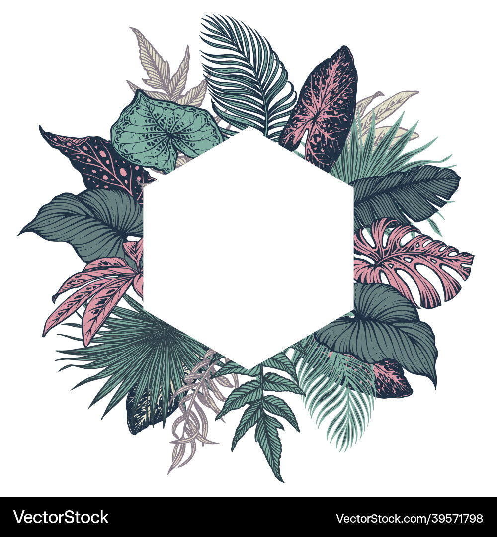 Tropical Floral Frame vector image