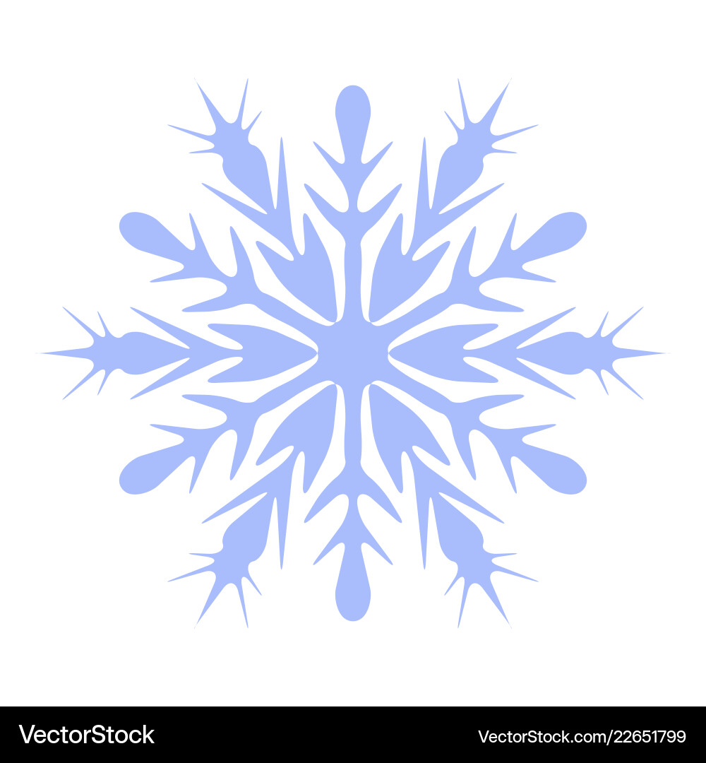Elegant Snowflake Motif vector image