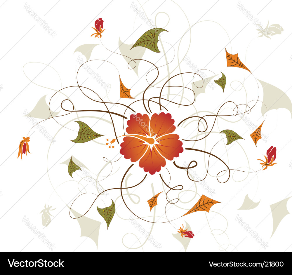 Background flower Vector Image