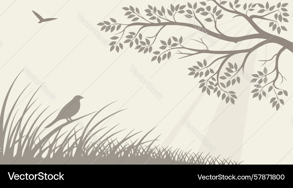 Bird on branch with sunrays in forest design Vector Image