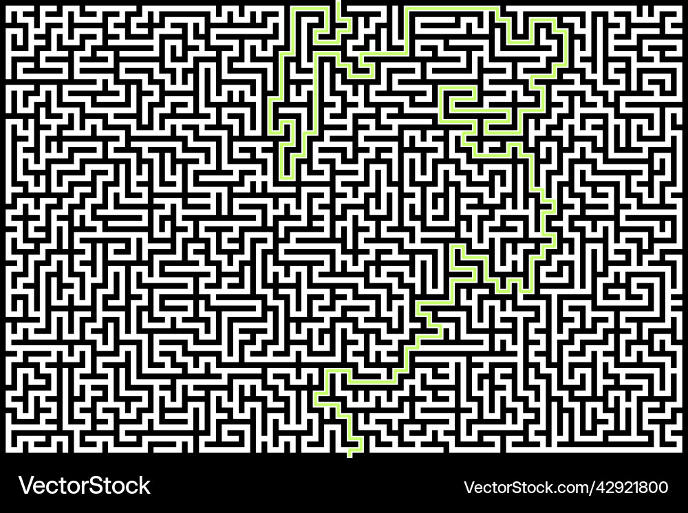 Rectangle maze with solution Vector Image