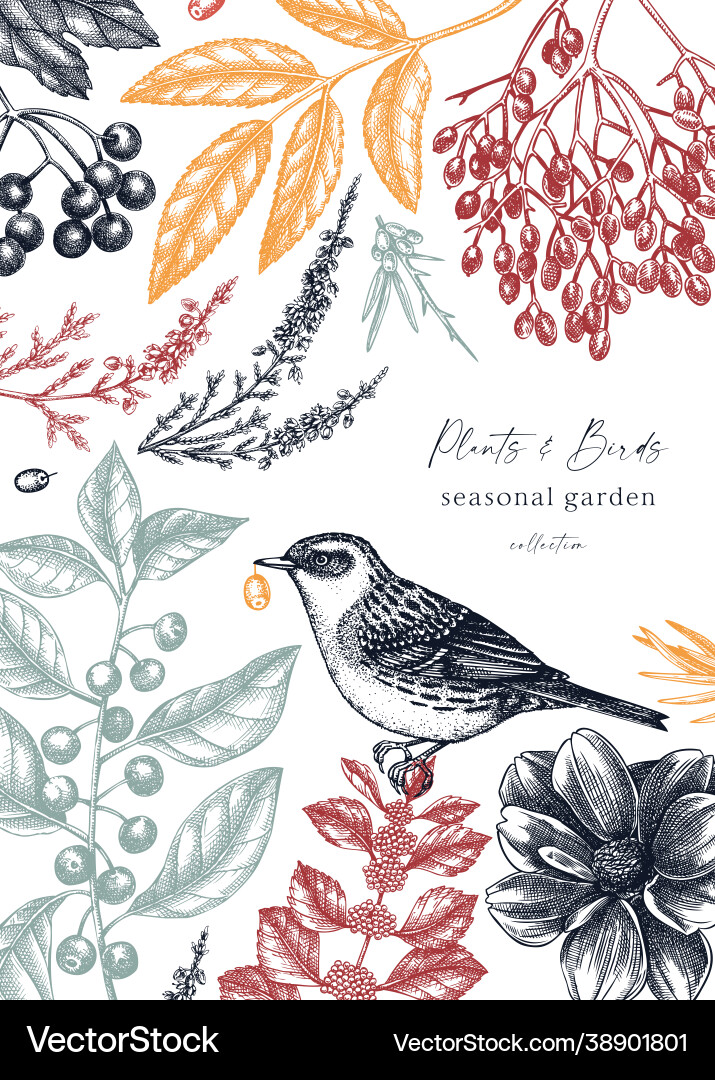 Handgefertigtes Herbstkartendesign mit Dunnock Handgefertigtes Herbstkartendesign mit Dunnock vektorbild