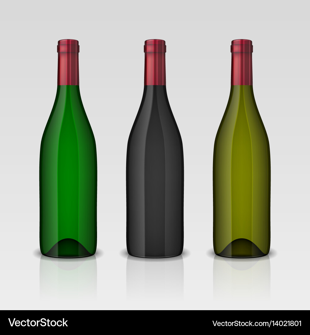 Set of 3 realistic wine bottles without vector image