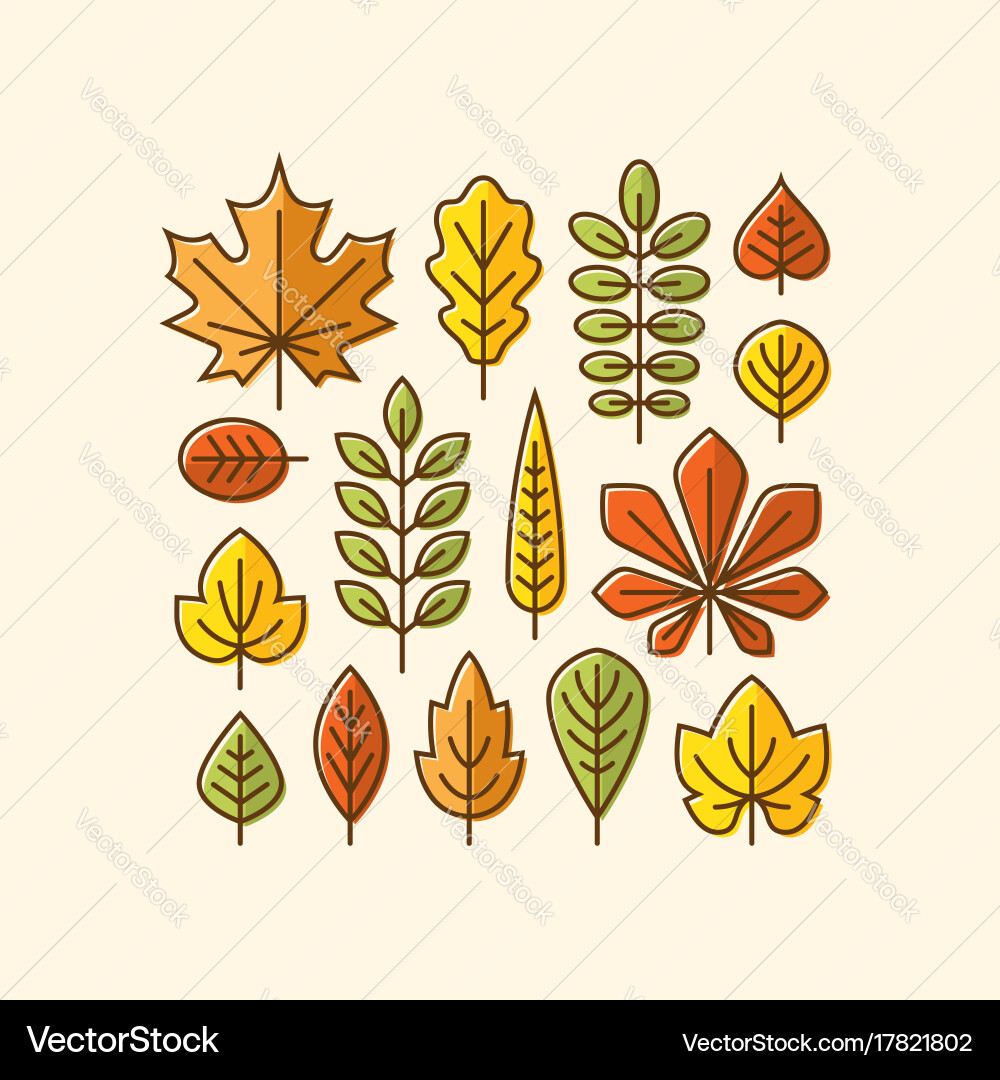 Autumn Leaf Icons - Maple & Oak vector image