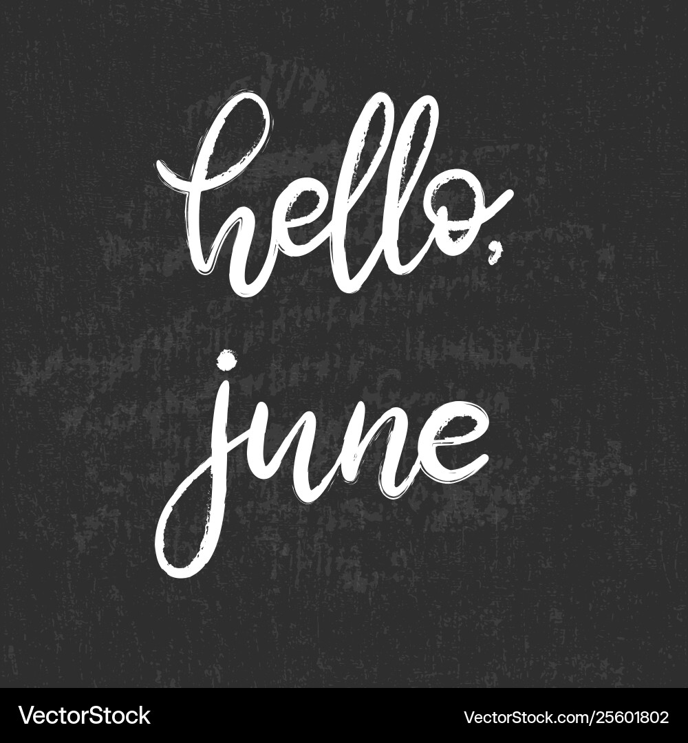 Handwritten name month for calendar Handwritten name month for calendar vector image