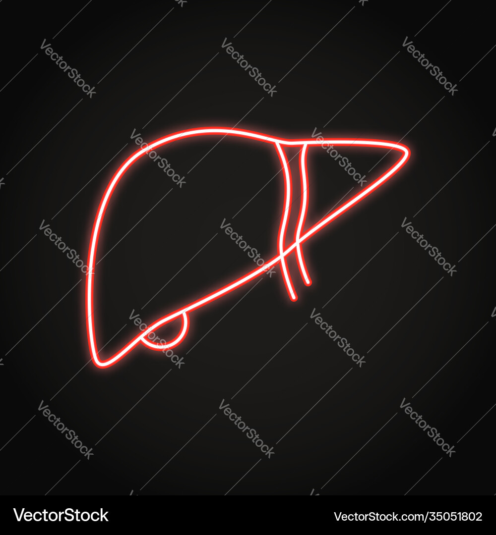 Neon human liver icon in line style Neon human liver icon in line style vector image