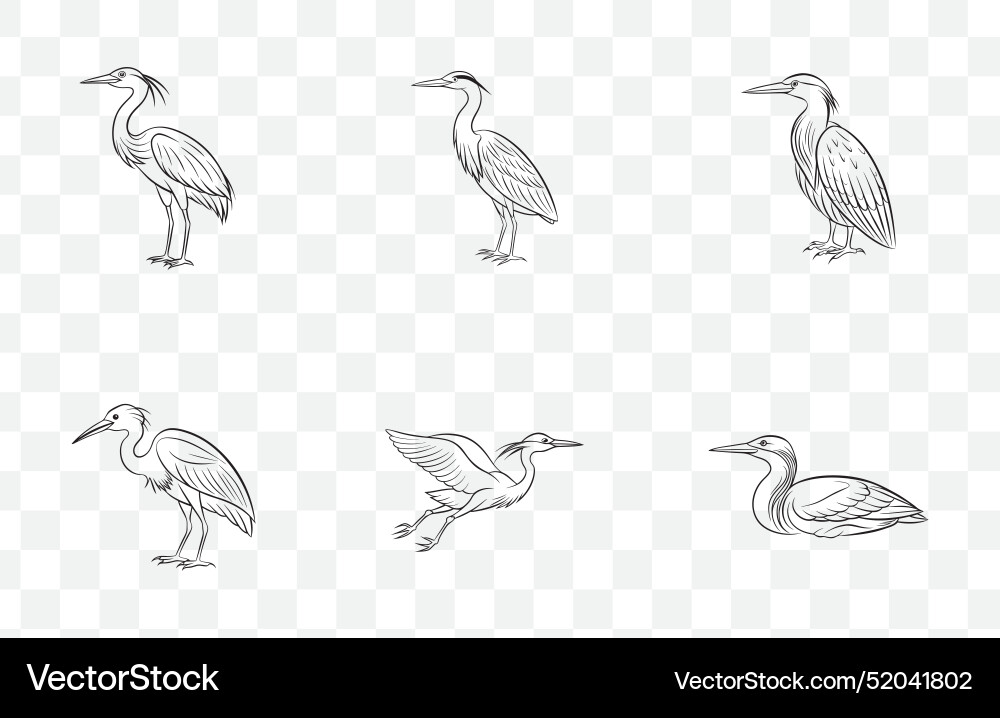 Print elegant bittern line art set Print elegant bittern line art set vector image