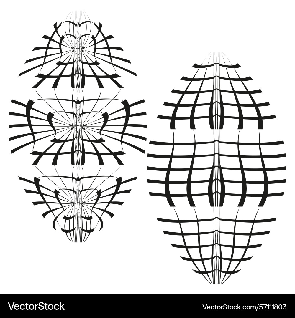Abstract sphere patterns geometric wireframe Abstract sphere patterns geometric wireframe Vector Image