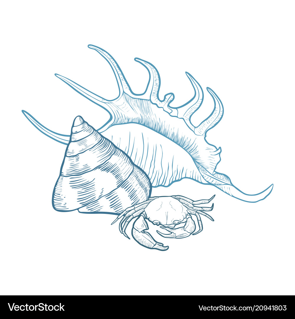 Background with seashells Background with seashells vector image