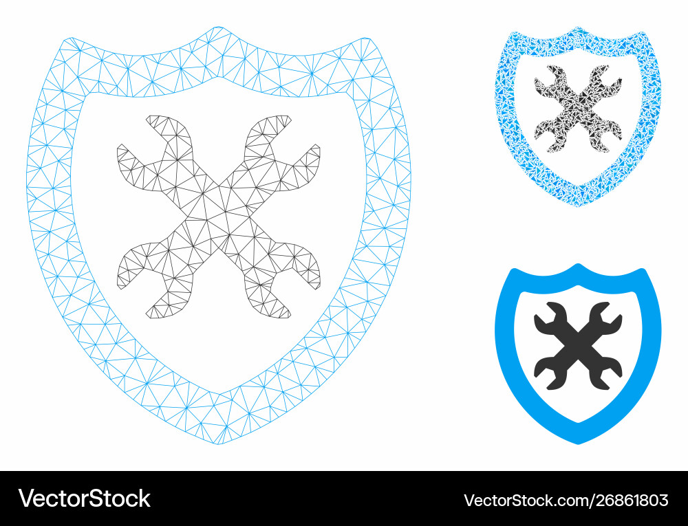 Security configuration mesh wire frame Vector Image
