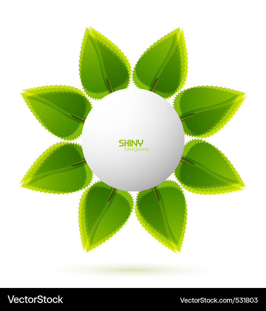 Sun and Leaf Background Vector Image