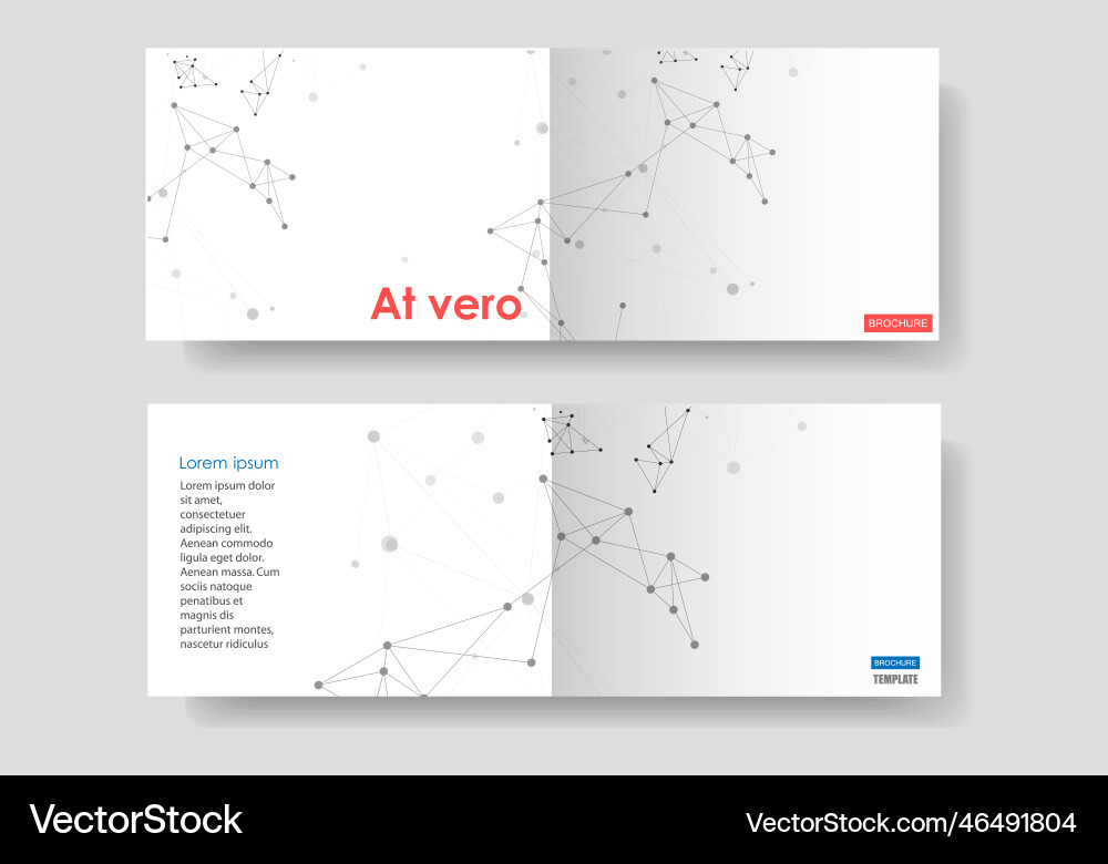 Abstract network design geometric connect Vector Image