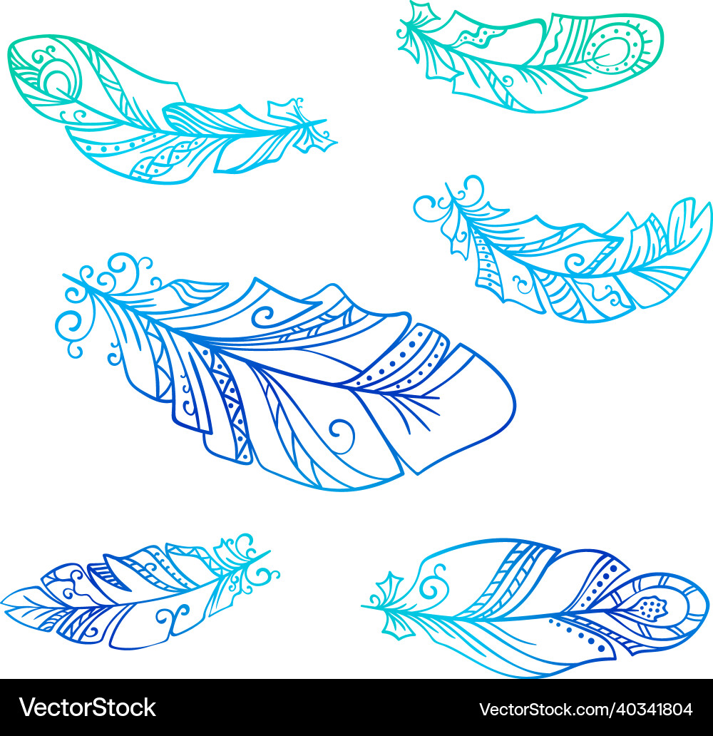 Bohemian Feather Set vector image