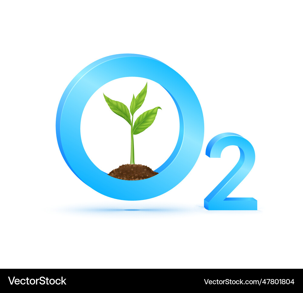 Seedling with green grows from seed in oxygen o2 Seedling with green grows from seed in oxygen o2 Vector Image