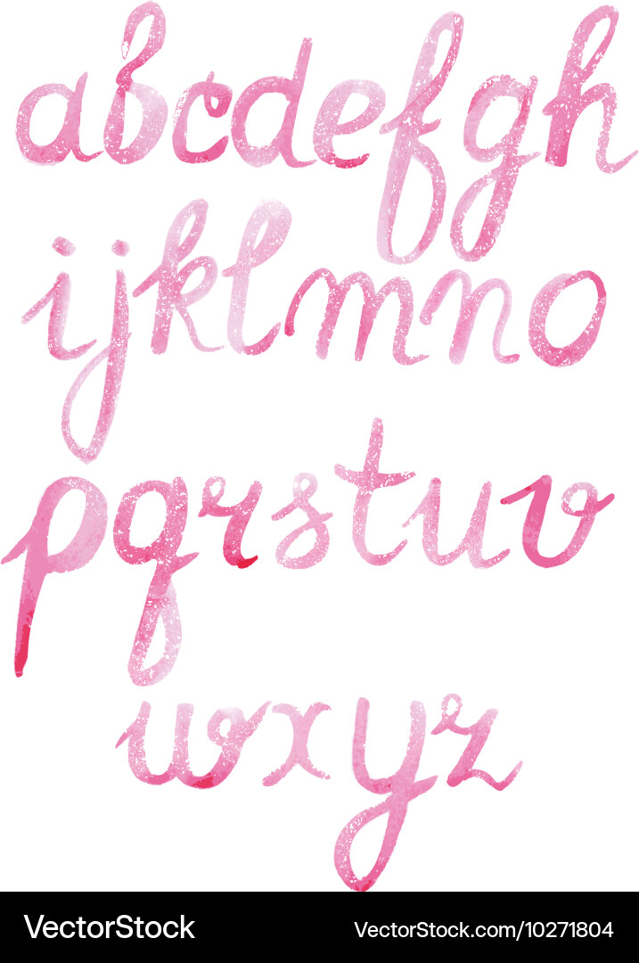 Watercolor Script Font - Elegant Lettering vector image