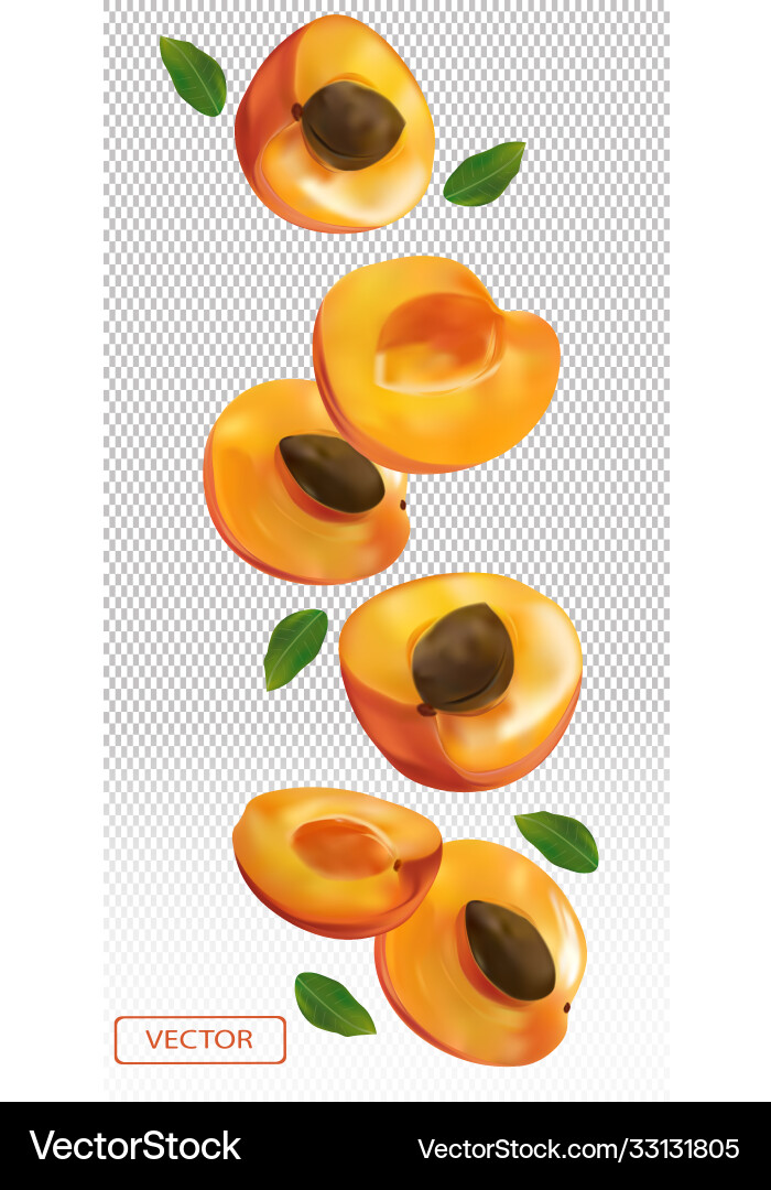 Apricot falling from different angles flying vector image