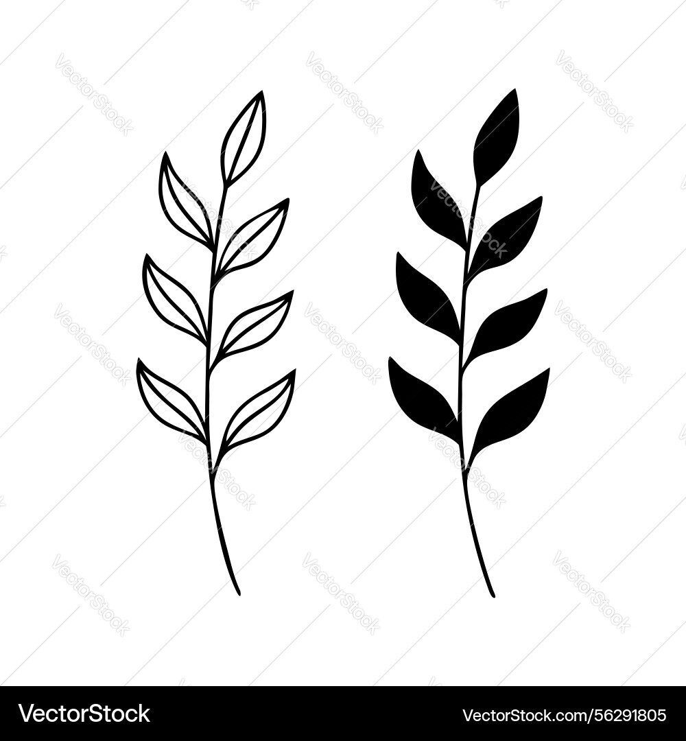 Leaf twig outline and solid Vector Image