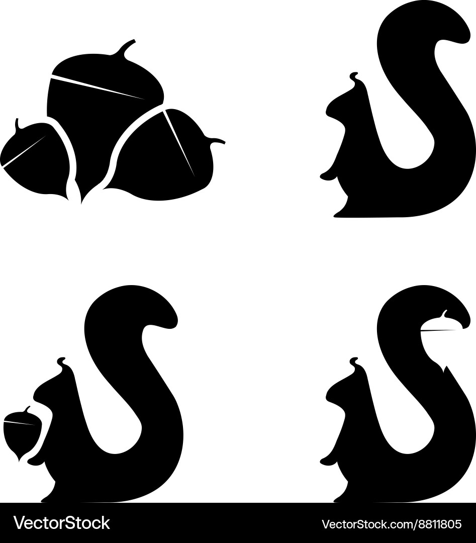 Set of squirrels and nuts design template vector image