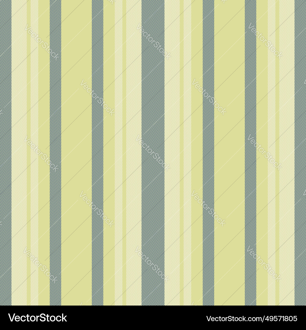 Vertical lines stripe pattern stripes background Vertical lines stripe pattern stripes background Vector Image