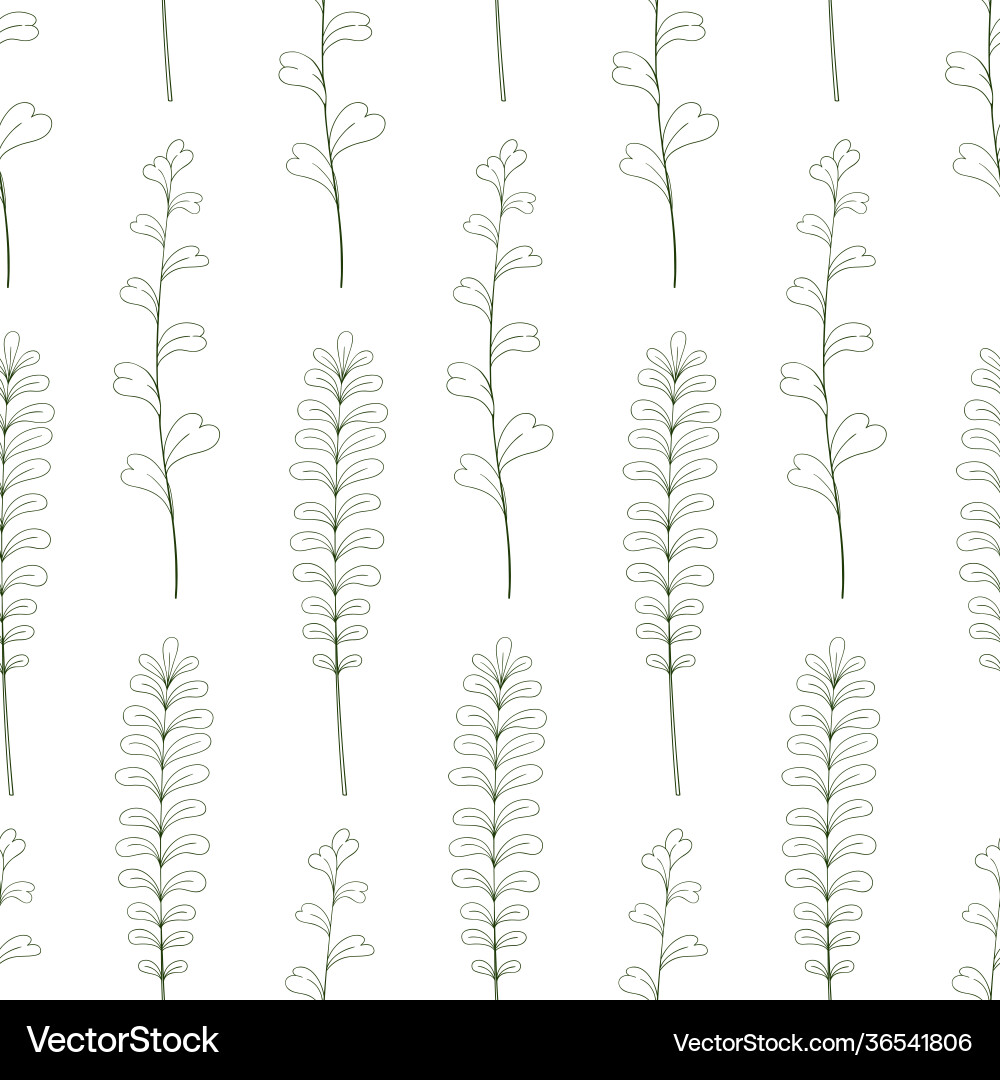 Greenery sketch botanical seamless pattern vector image