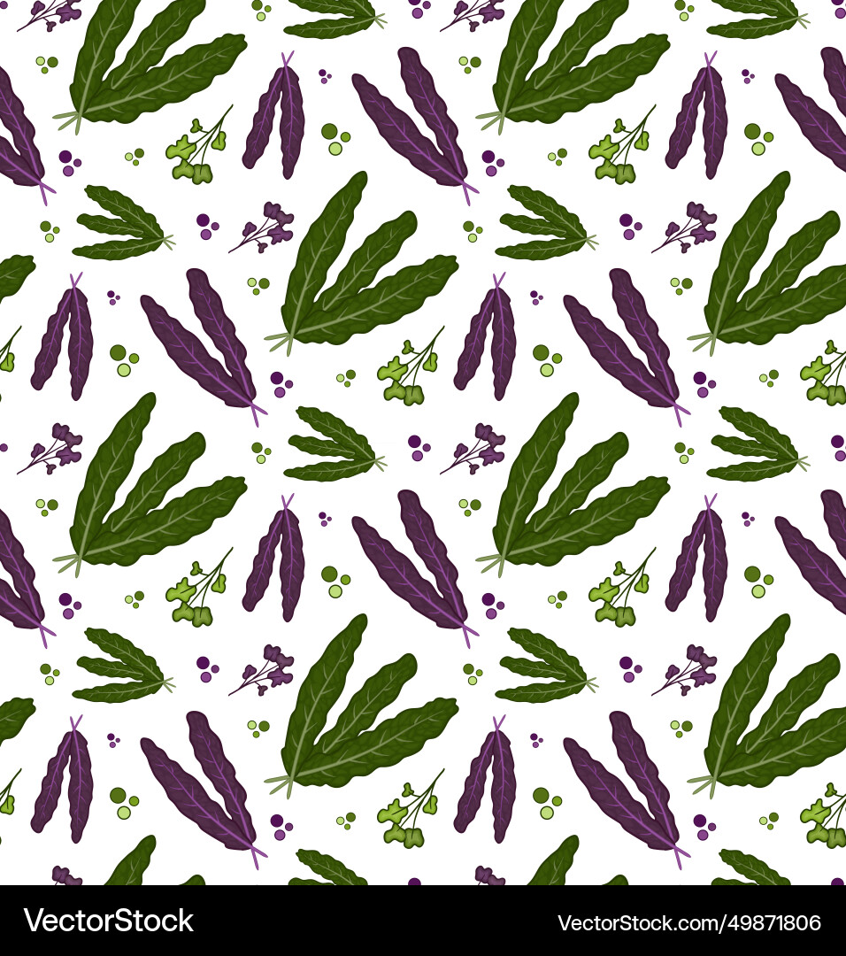 Seamless pattern tuscan cabbage design Seamless pattern tuscan cabbage design Vector Image