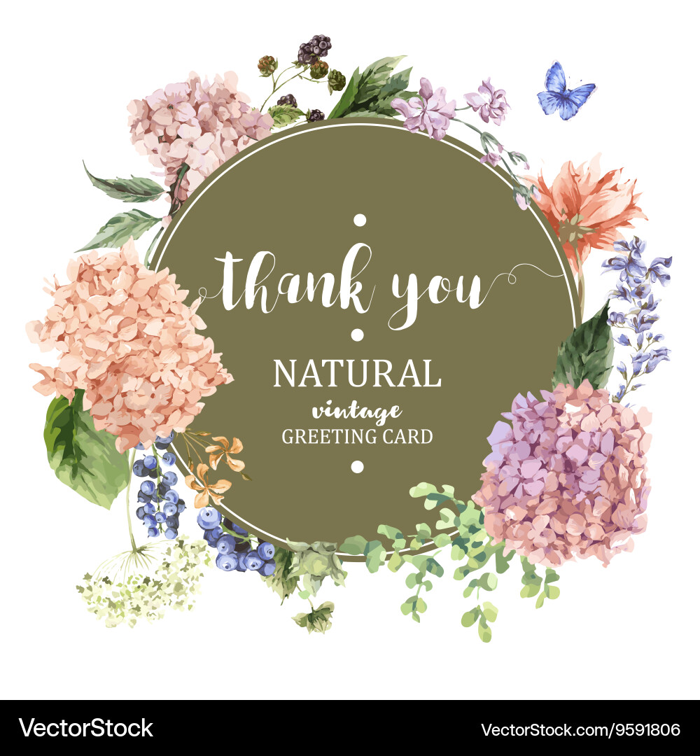 Vintage Hydrangea Floral Card vector image