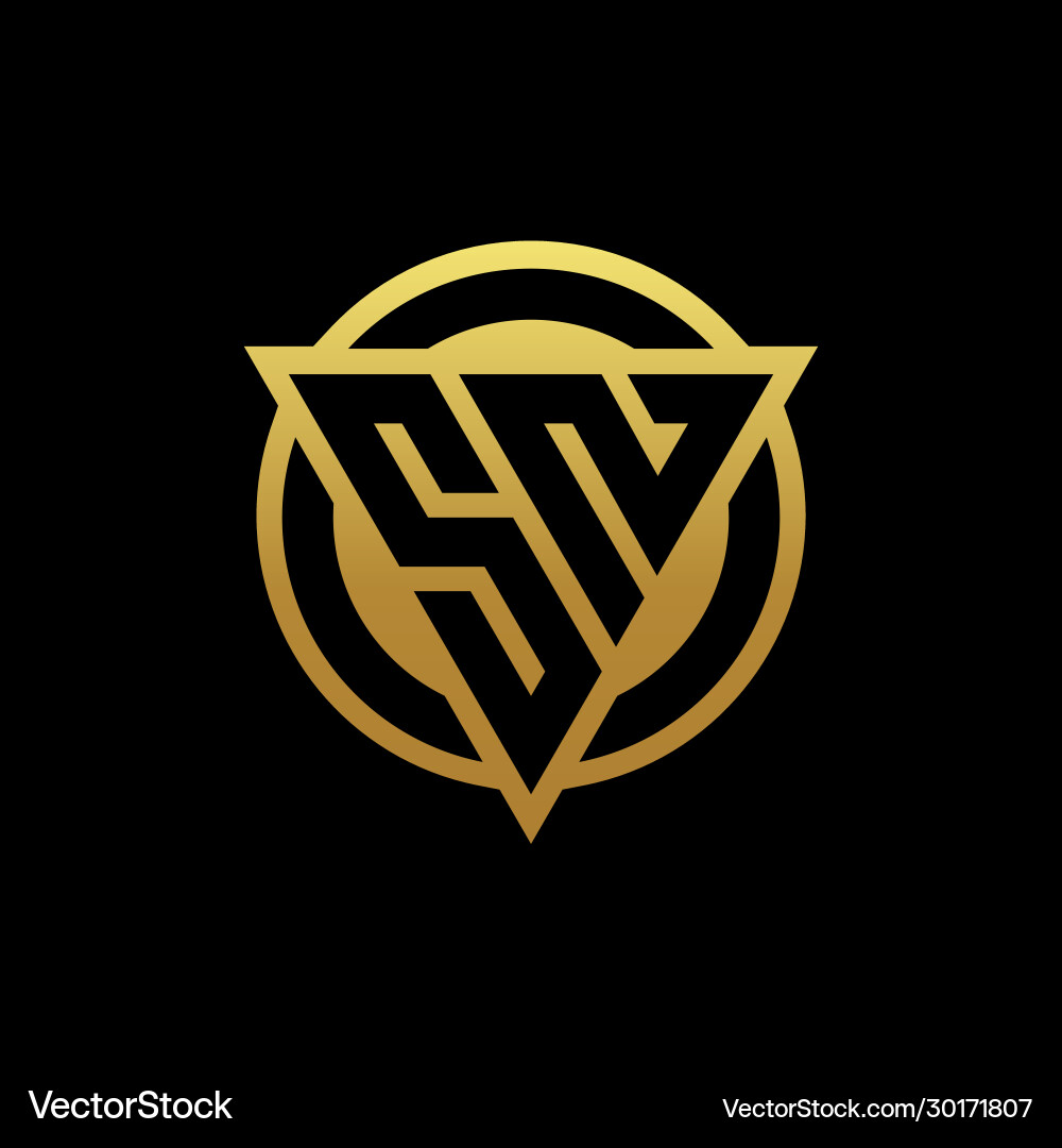 Sn logo monogram with triangle shape and circle Sn logo monogram with triangle shape and circle vector image
