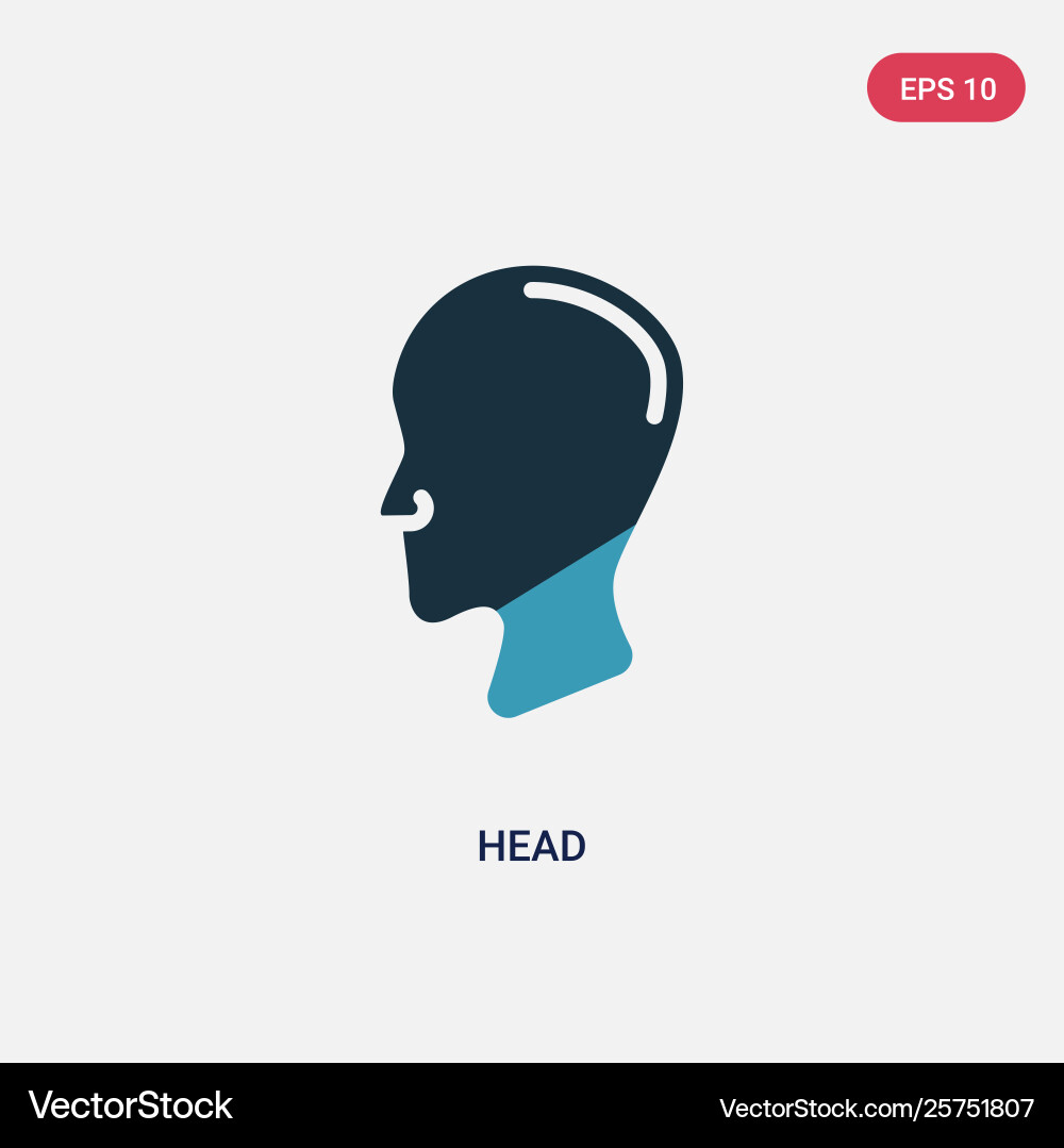 Two color head icon from user interface concept vector image