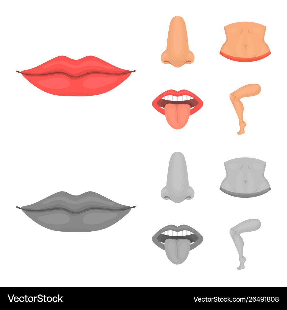 Design body and part icon collection Design body and part icon collection vector image