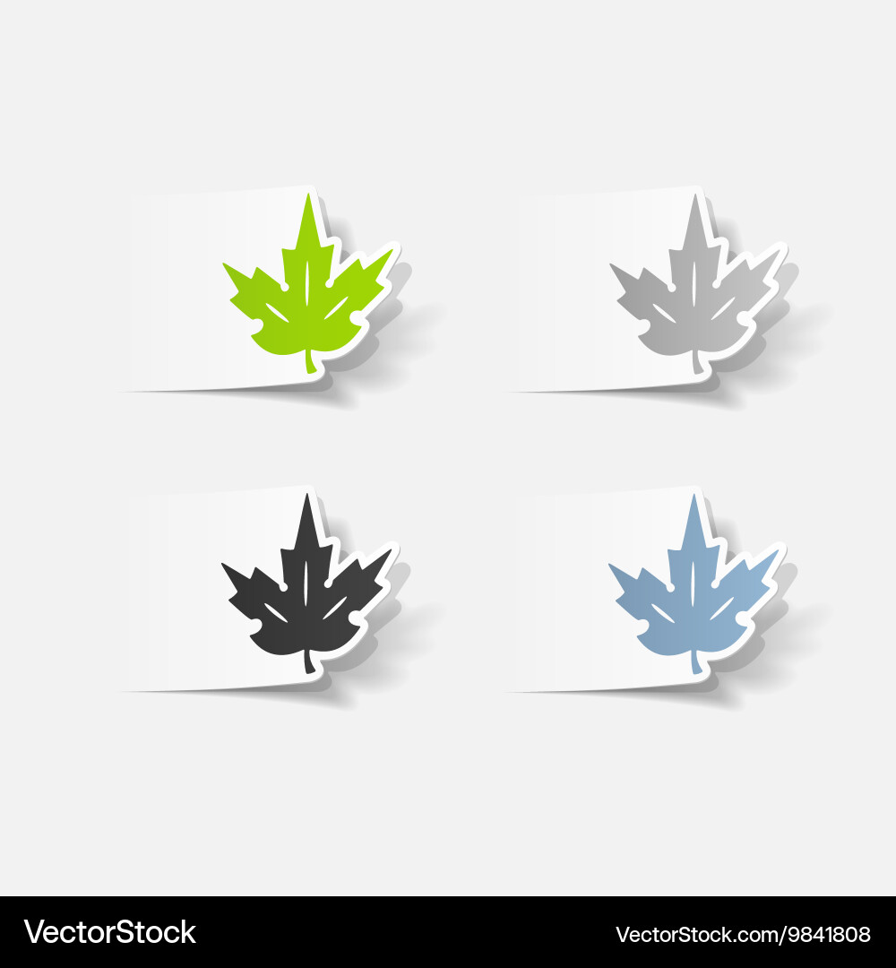 Realistic design element leaf vector image