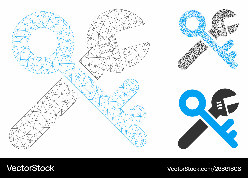 Security tools mesh network model vector image