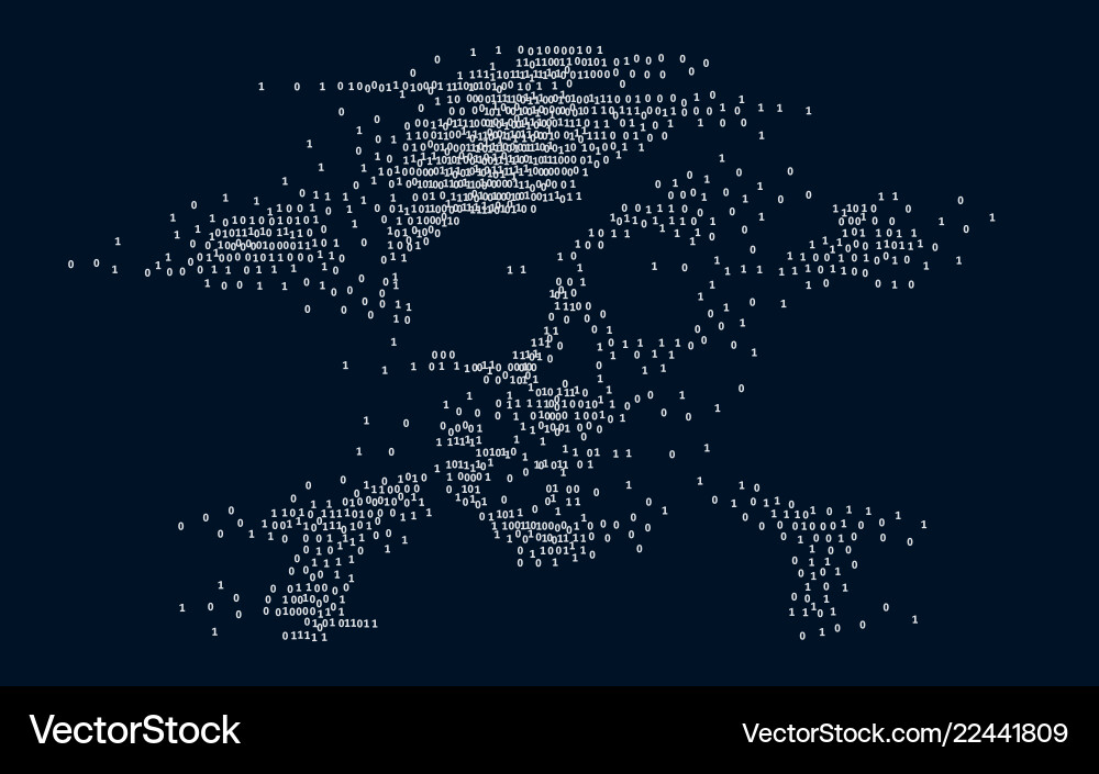 Digital Binary Skull with Crossbones Vector Image