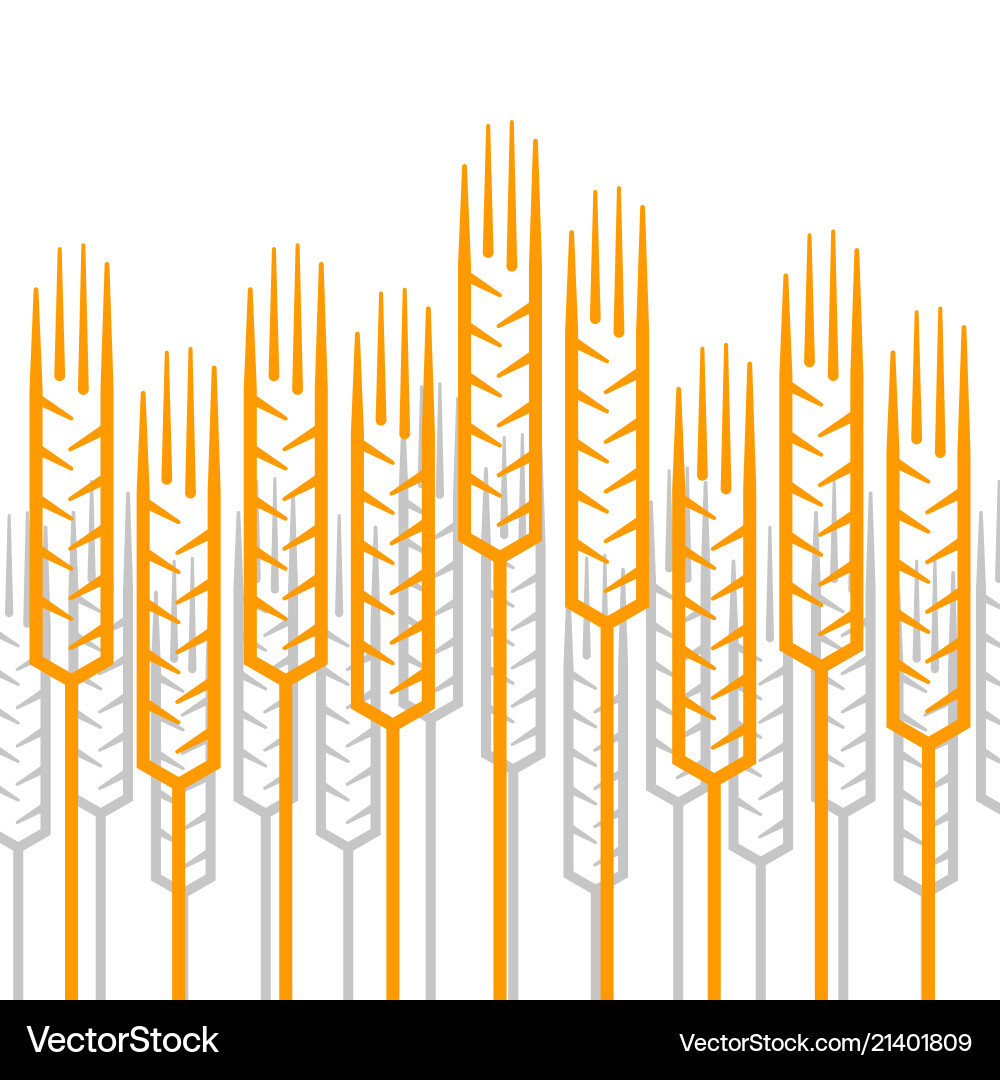 Linear ears of wheat pattern Linear ears of wheat pattern vector image